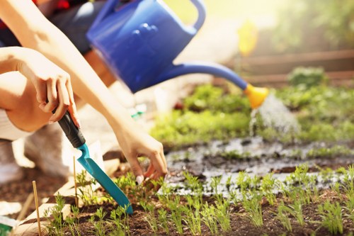 The image depicts a gardener tending to a garden bed in an outdoor space, likely within a residential or small commercial garden in Kensington. In the foreground, there are several young green plants with narrow leaves growing in a neat, organized row within a well-maintained soil bed. A hand is visible, gently using a small gardening trowel to tend to the plants, indicating active planting or weeding. In the background, a blue watering can is positioned, with water being poured onto the garden bed, suggesting ongoing irrigation. The garden surface includes a mix of rich, dark soil and patches of grass surrounding the planting area, with some textures of the soil visible through watering. There is natural sunlight illuminating the scene, creating a bright and warm outdoor environment typical of spring or early summer. The scene exemplifies professional gardening work focused on maintaining healthy young plants, which aligns with services offered by Garden Maintenance Kensington in the local Kensington area, emphasizing garden care, planting, and watering routines essential for a flourishing outdoor space.