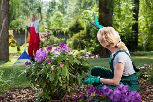 Front garden maintenance in Kensington terrace house