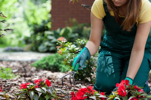 Printed brochure and digital tablet showing a garden care checklist