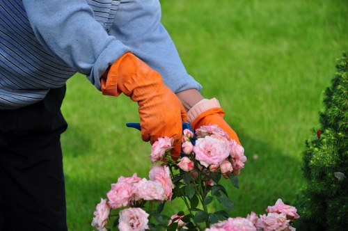 Close-up of gardening tools and pruning shears on a lawn